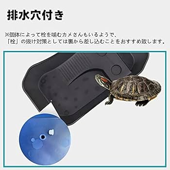 Amazon | 【2024新登場】カメ用水槽 大きい カメ 水槽 亀の水槽